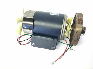 Schwinn 6110.2 Treadmill DC Drive Motor C42D34DZ2B - fitnesspartsrepair