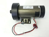 True Fitness TPS300-4 - 2010 Treadmill DC Drive Motor with Flywheel - fitnesspartsrepair